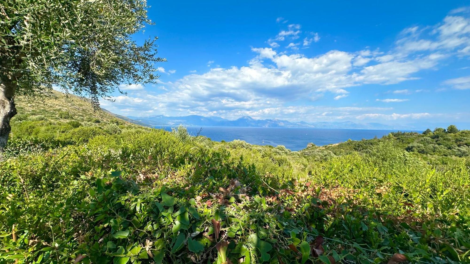 Hotel La Casa Di Paolo Casa Di Charme Marina di Camerota Exteriér fotografie