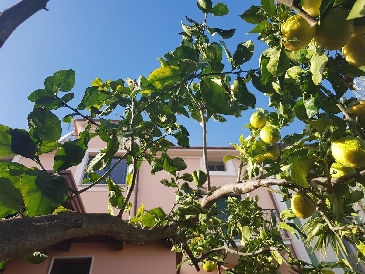 Hotel La Casa Di Paolo Casa Di Charme Marina di Camerota Exteriér fotografie